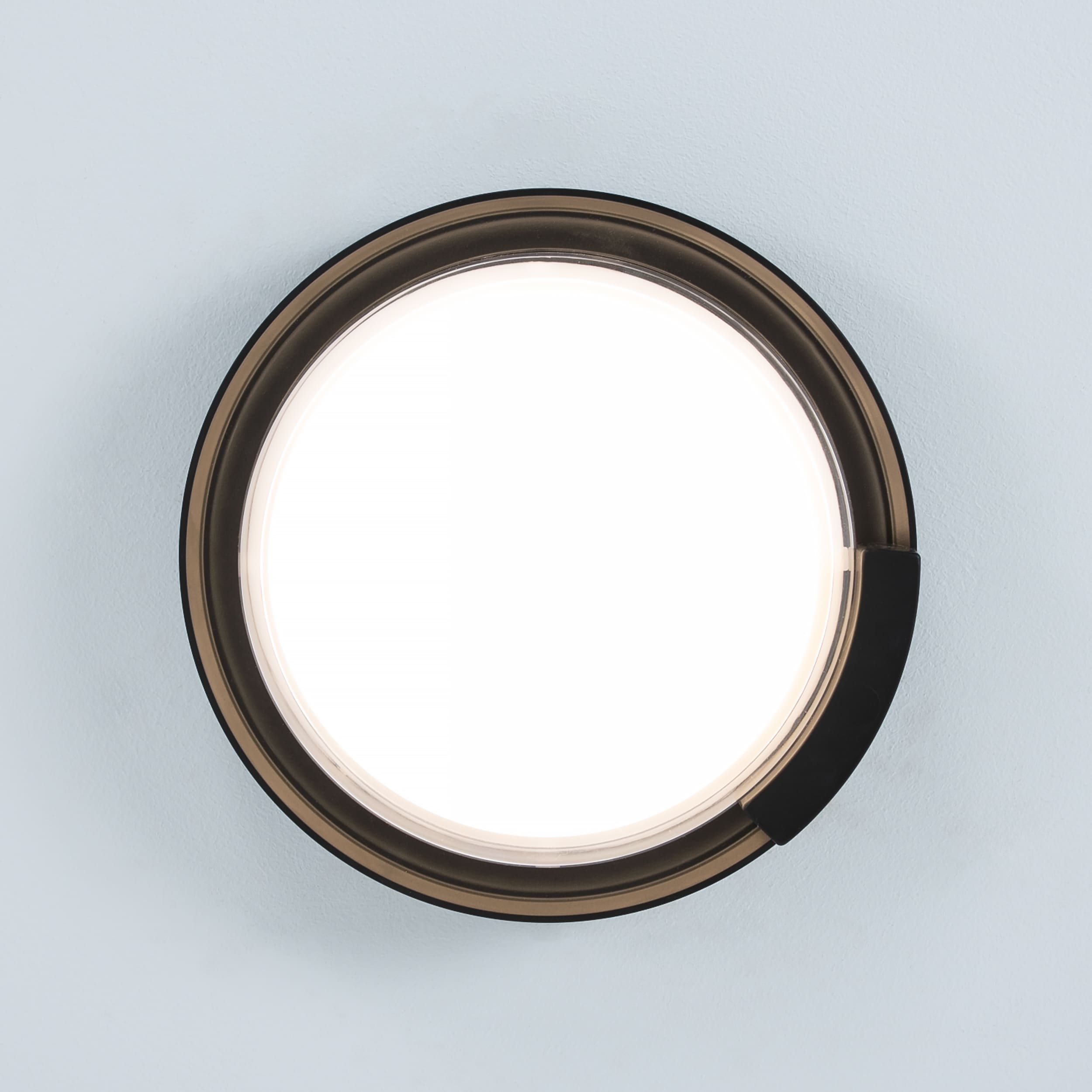 Rounded Cow Eye-Black