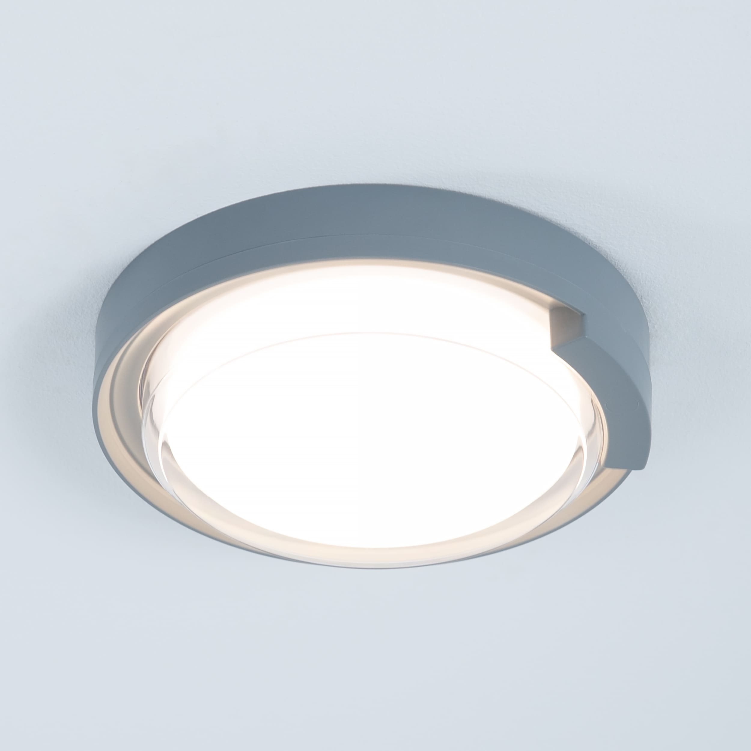 Rounded Cow Eye-Grey