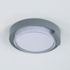Rounded Cow Eye-Grey