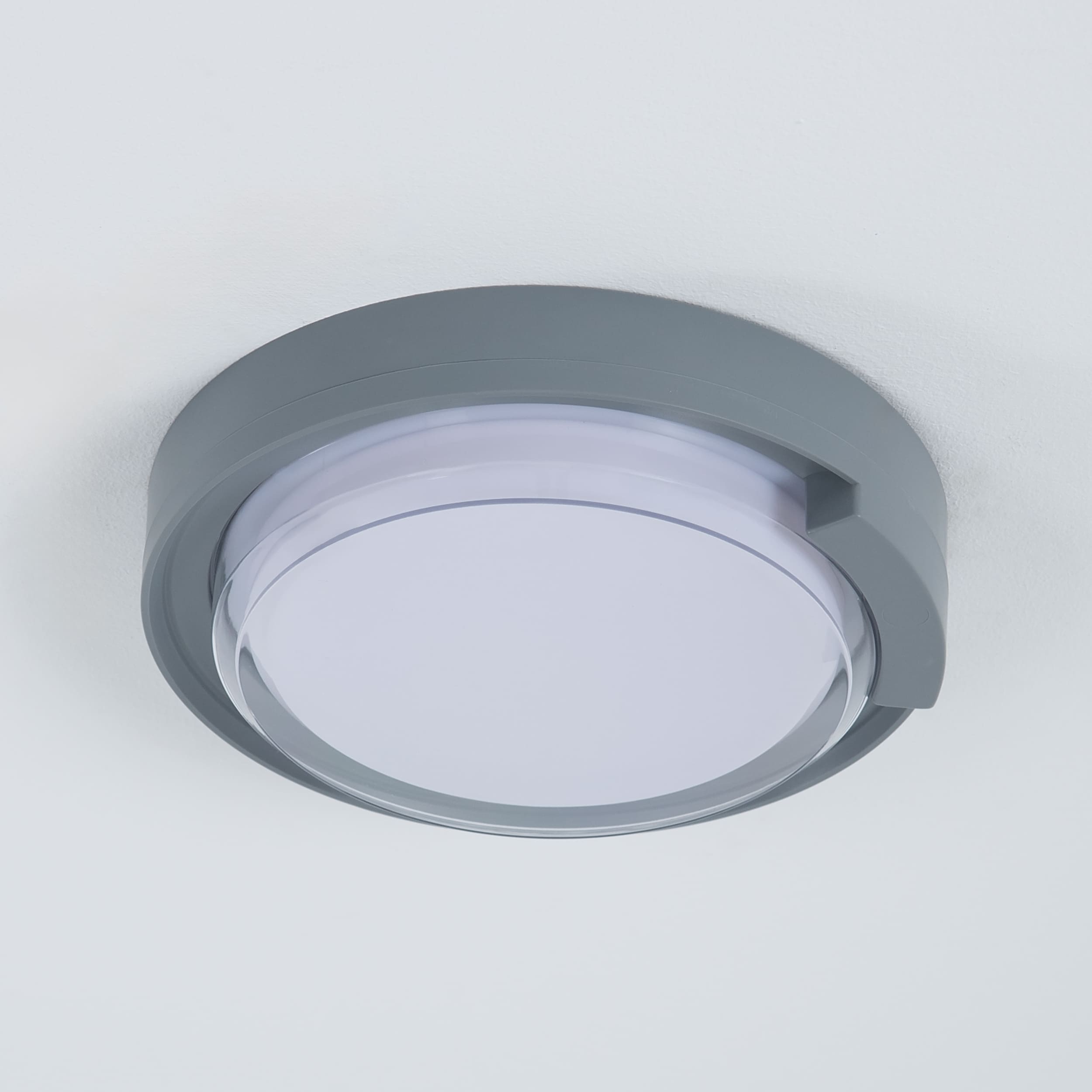 Rounded Cow Eye-Grey