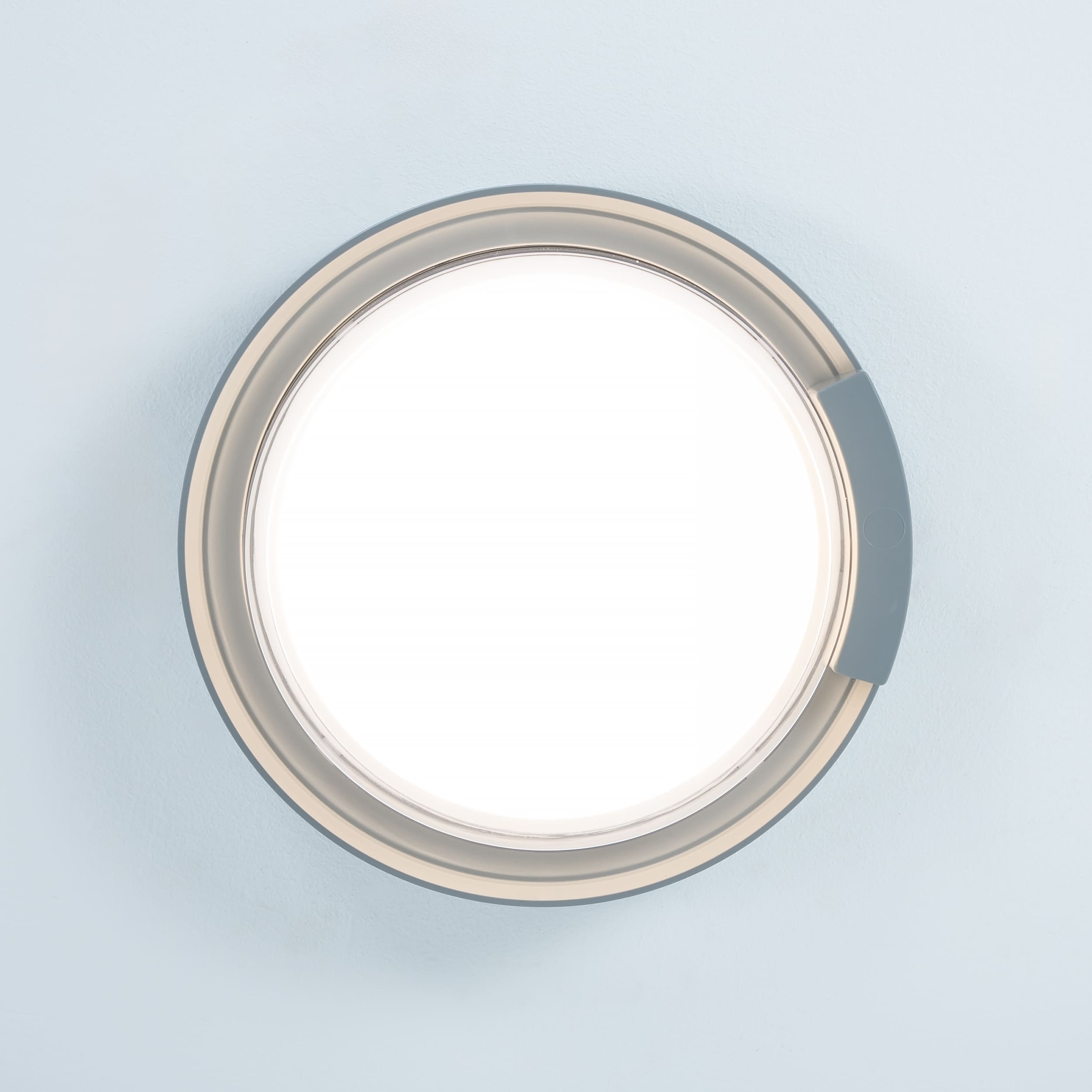 Rounded Cow Eye-Grey