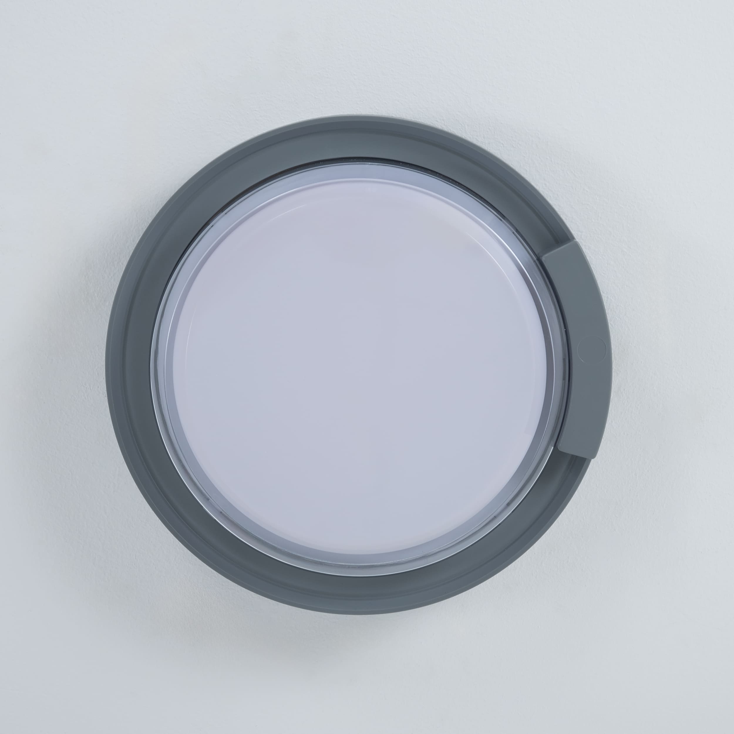 Rounded Cow Eye-Grey