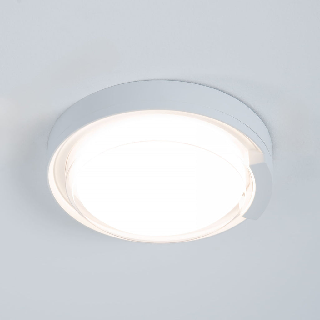 Rounded Cow Eye-White