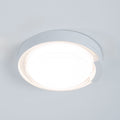 Rounded Cow Eye-White