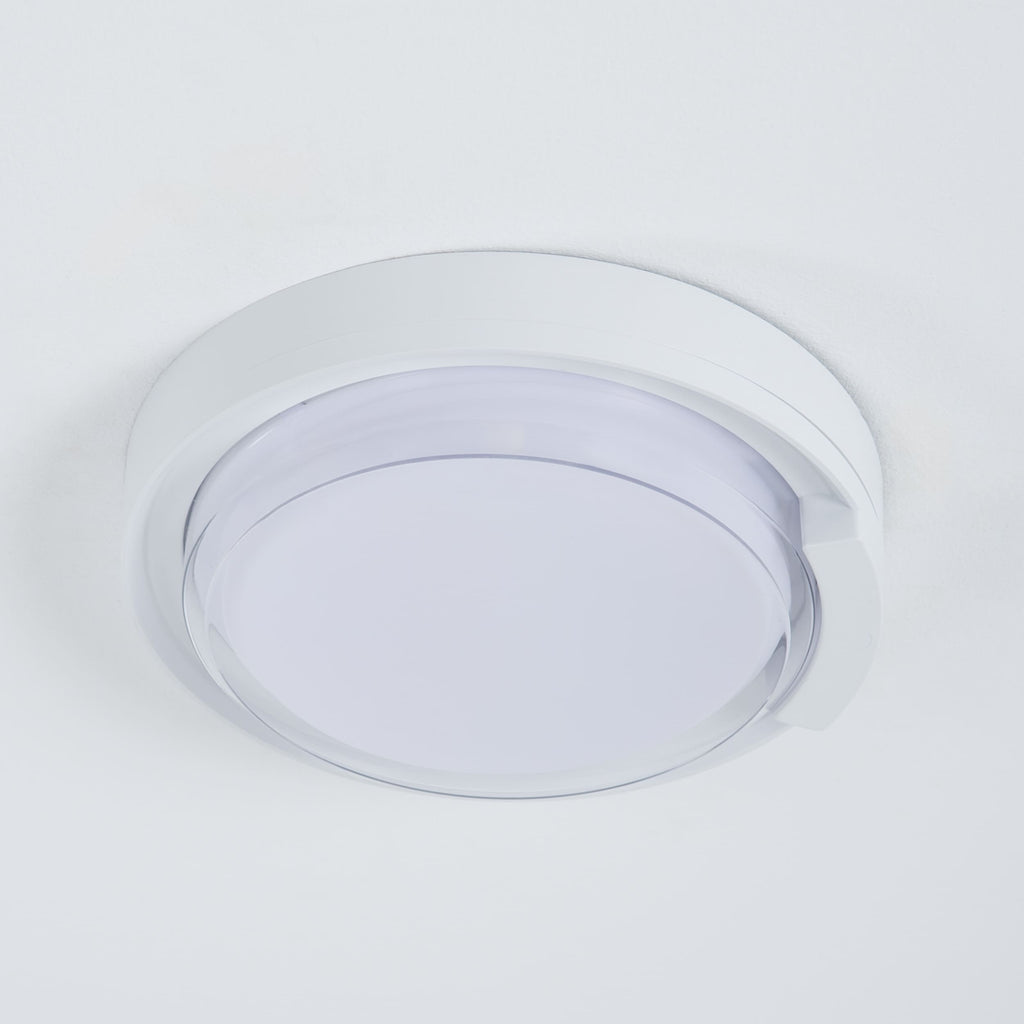Rounded Cow Eye-White