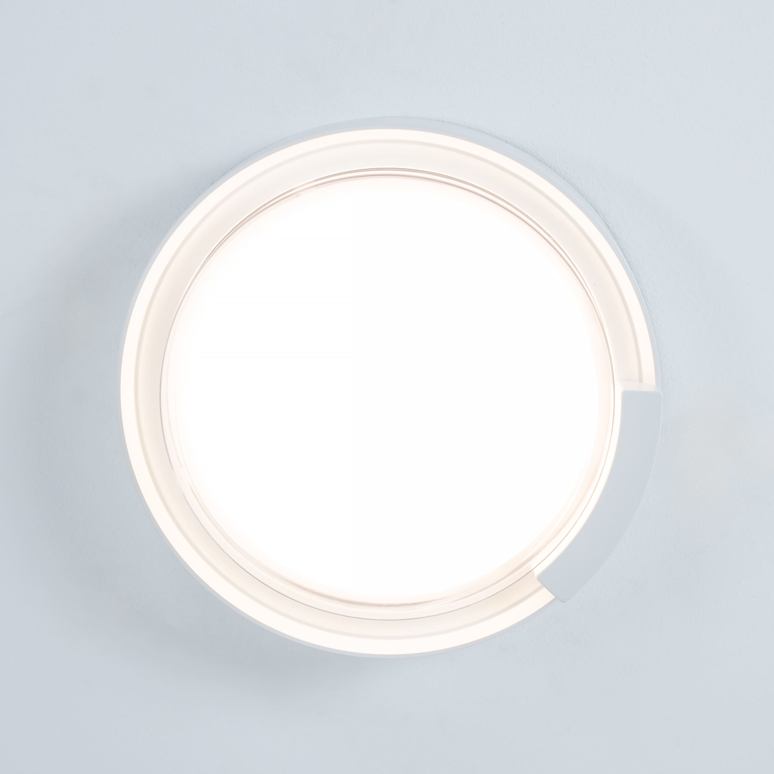 Rounded Cow Eye-White