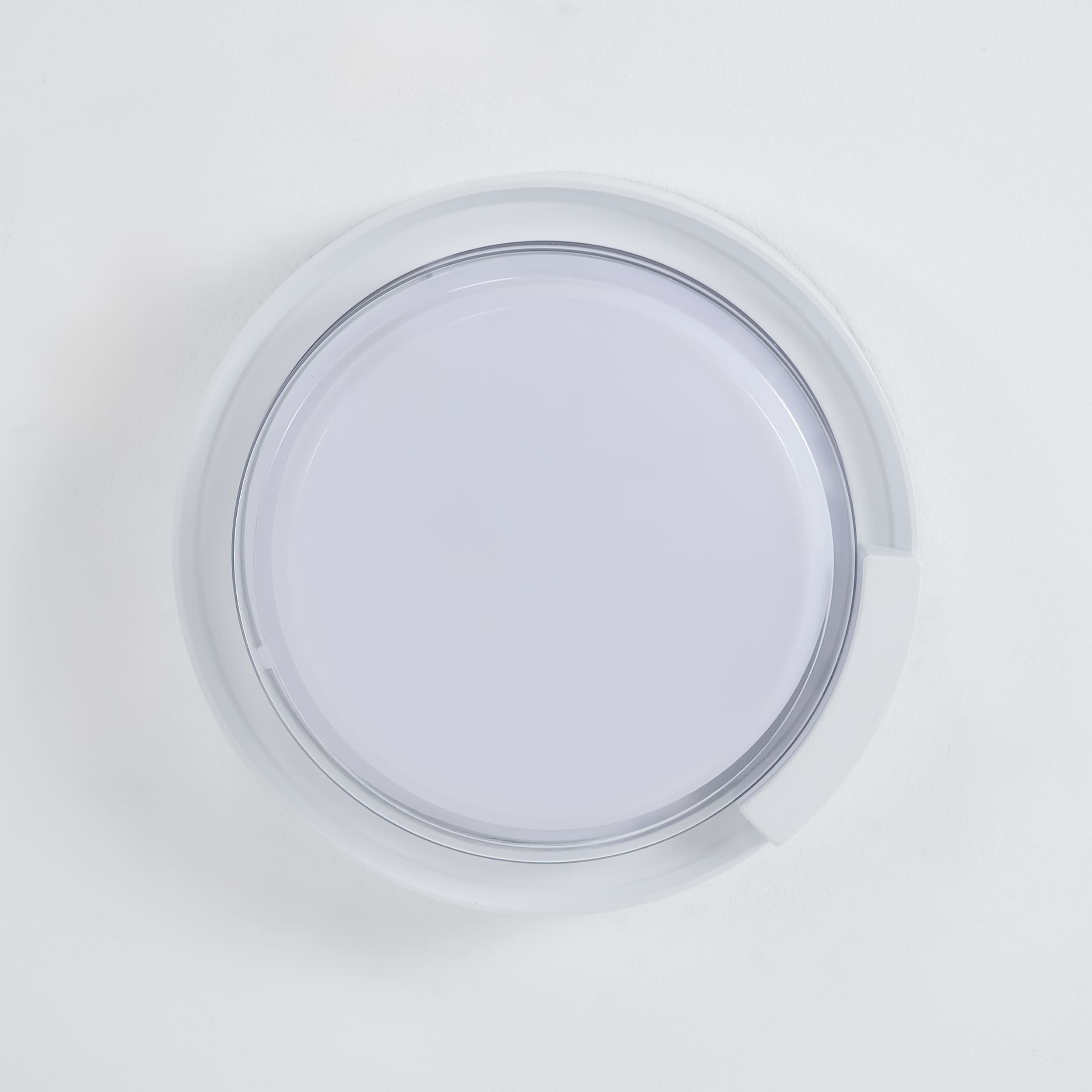 Rounded Cow Eye-White