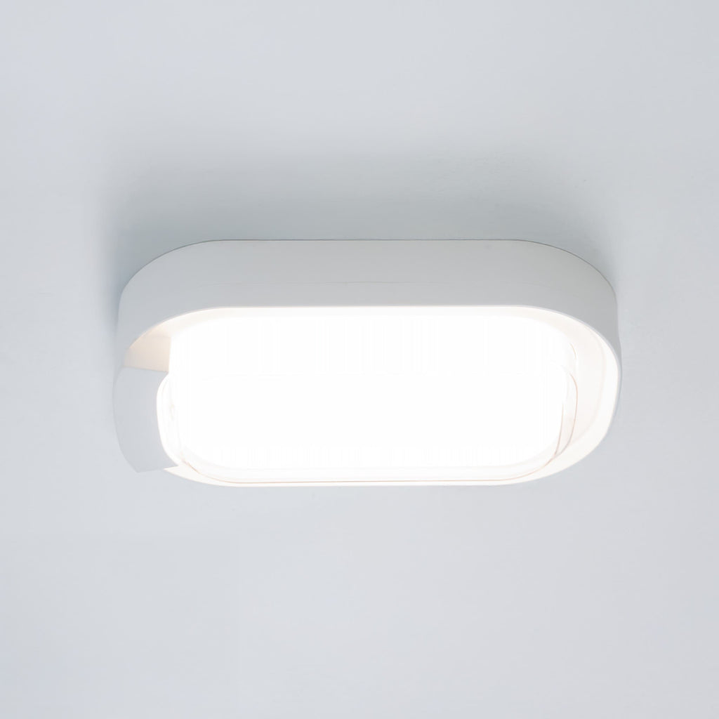Oval Cow Eye-White