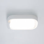 Oval Cow Eye-White